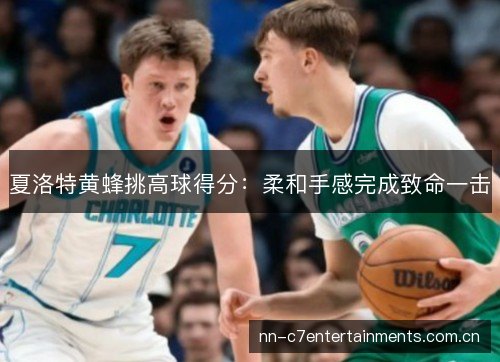 夏洛特黄蜂挑高球得分:柔和手感完成致命一击 夏洛特黄蜂挑高球得分:柔和手感完成致命一击